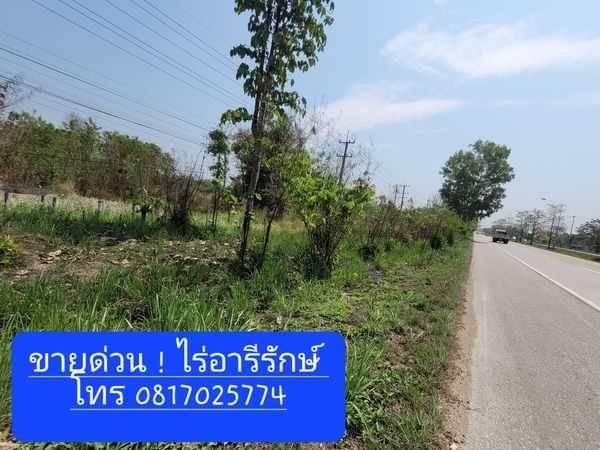 ขายด่วน! ที่ดินติดถนนซุปเปอร์ เชียงใหม่ ลำปาง (เจ้าของขายเอง) ขายด่วนก่อนจะขึ้นราคา